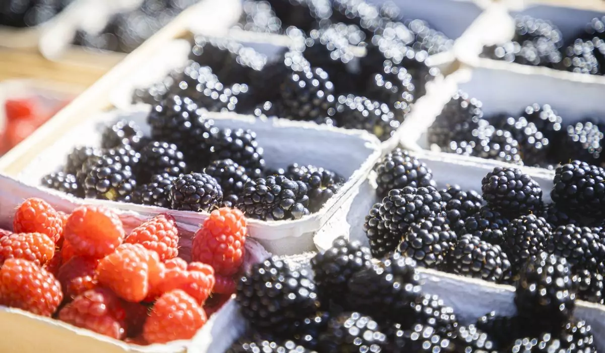 Himbeeren und Brombeeren - eigene Ernte