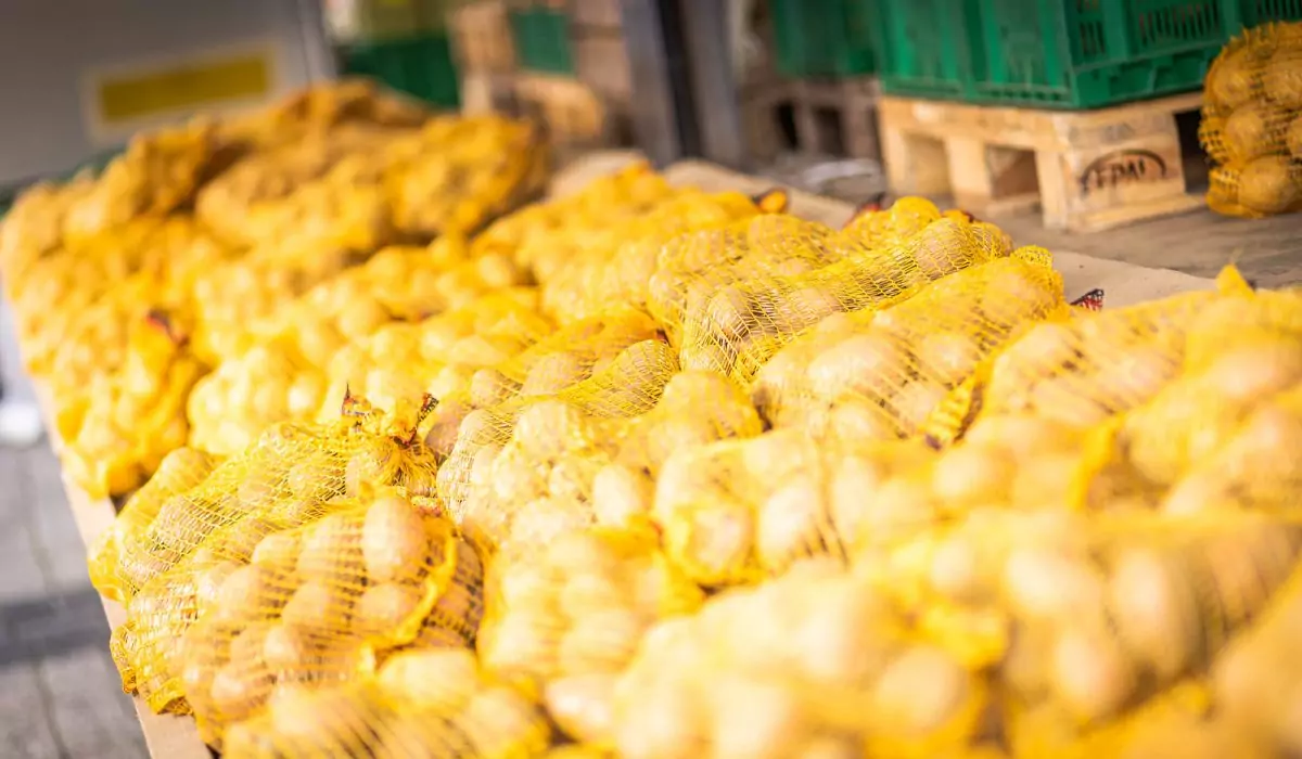 Kartoffel aus eigenem Anbau