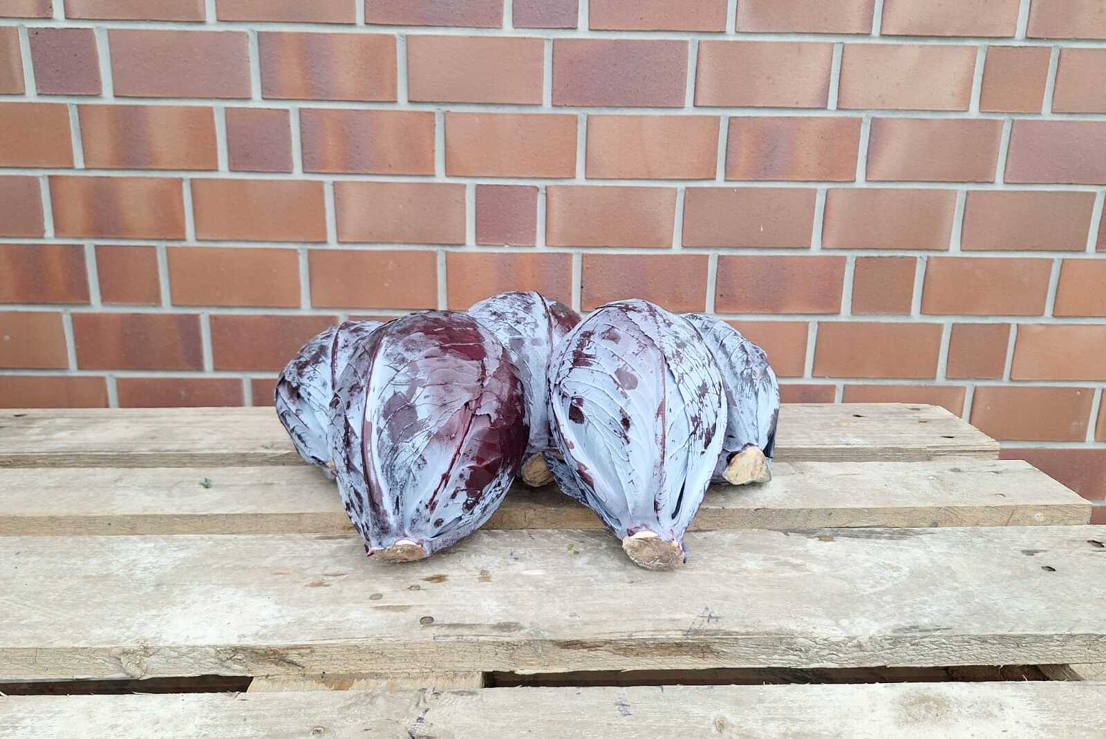 Rotkohl